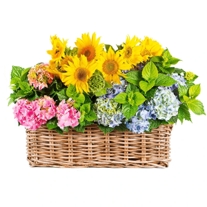 Цветы в корзине с Подсолнухами
