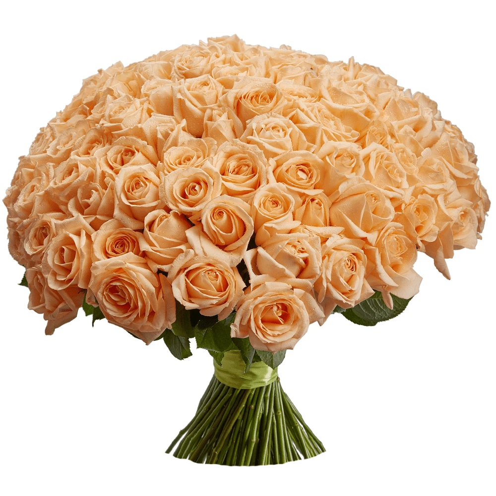 Розы Кремовые