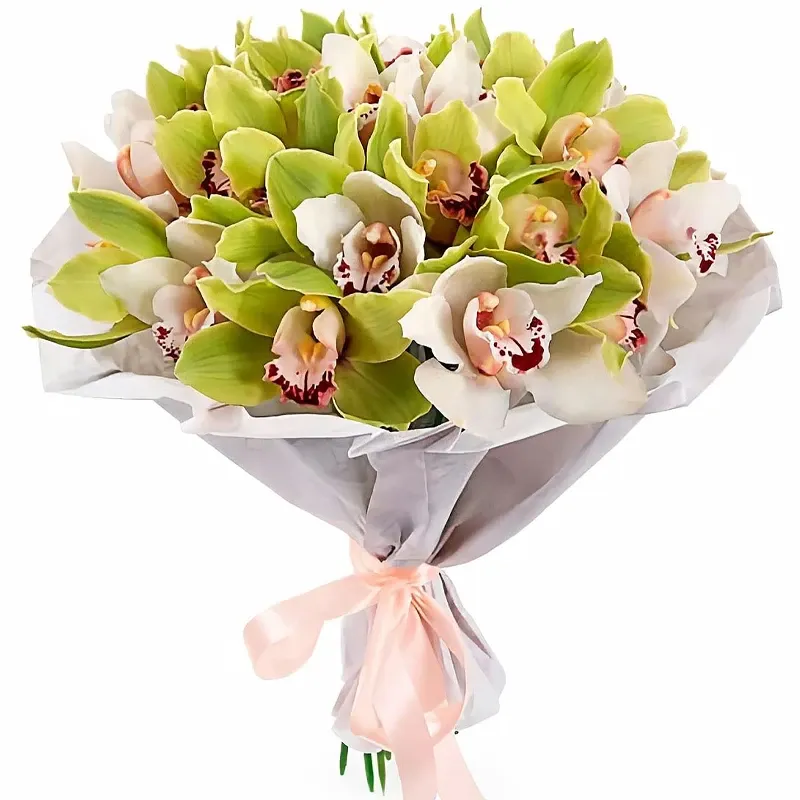 Орхидея зеленая